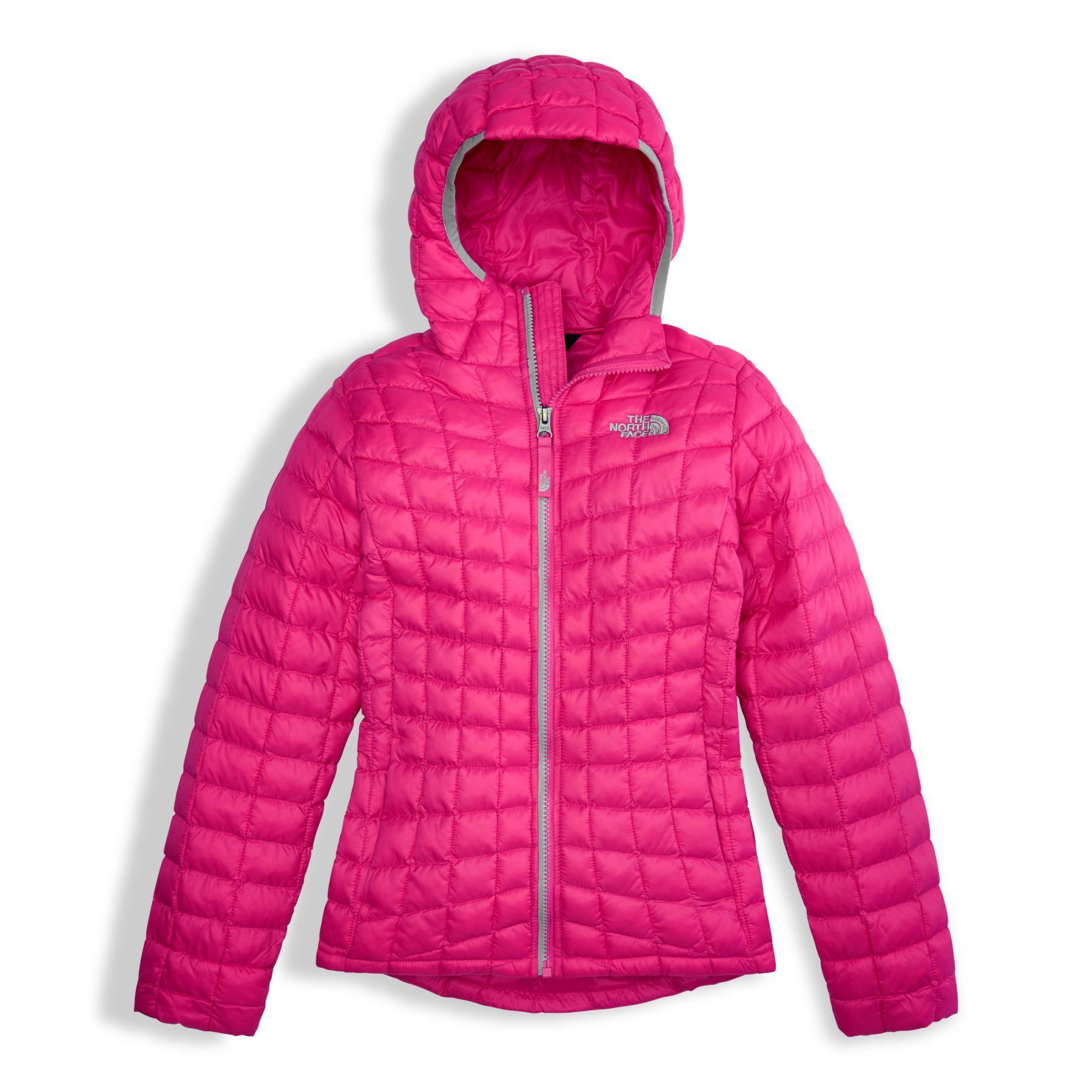 north face insulated hooded jacket