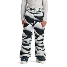 Obermeyer Brisk Print Pant - Teen Boys' 24120