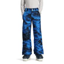 Obermeyer Brisk Print Pant - Teen Boys' 24167